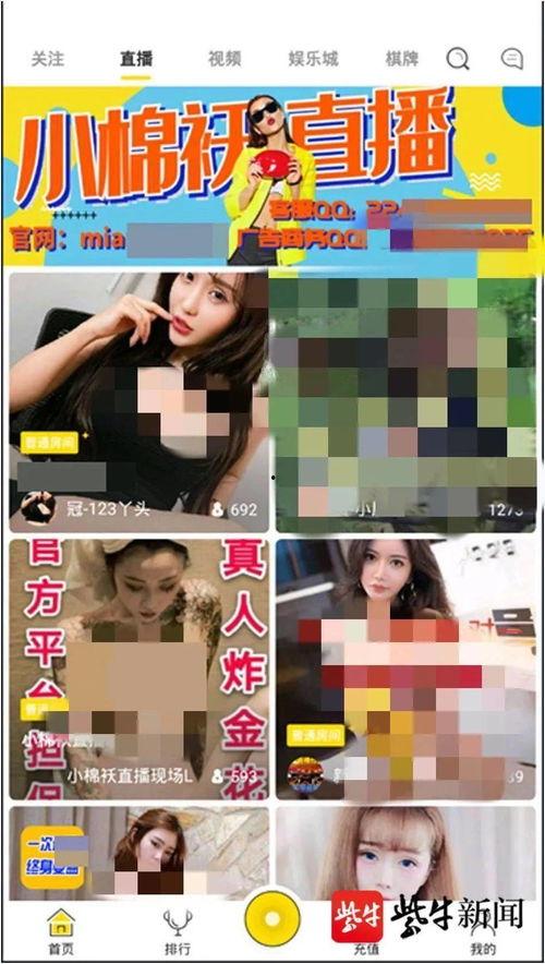 初夏直播成人APP,成人APP引领潮流，打造激情夏日新体验